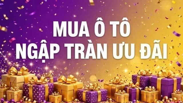 Địa điểm hỗ trợ xem xe tại Hà Nam